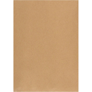 Пакет крафт В4стрип Multipack 250х353 100г 50шт/уп/5782