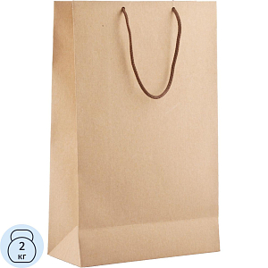 Пакет подарочный крафтовый 'Крафт' M арт.1155