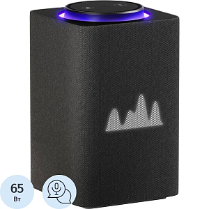 Умная колонка Яндекс Станция Макс Zigbee, графит/black (YNDX-00053K)