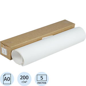 Ватман (бумага чертежная) Гознак Спб, 5 л/кор, 1200x840, 200 гр