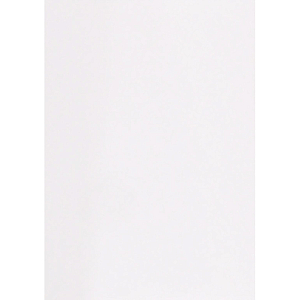 Пакет Белый B4стрип Businesspack250х353 120г 50шт/уп/5023