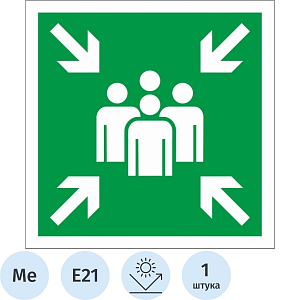 Знак безопасности Е21 Пункт (место) сбора, 300x300 мм, с/в, металл 0,5 мм