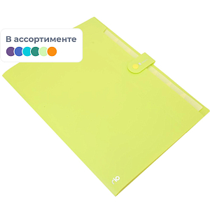 Папка органайзер Rio на кнопке  A4 8отделений РР 0,6мм в ассортим EB40102