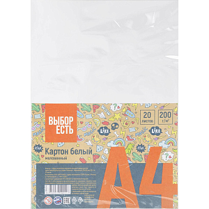 Картон белый Выбор есть Отличник 20л А4 мелован.пакет