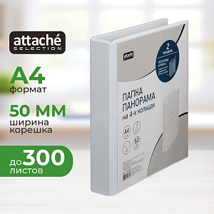Папка Панорама на 4-х кольцах  50мм Россия