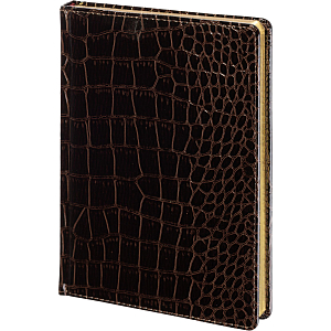 Ежедневник недатированный коричневый  А5+ СAIMAN 3-494 Д