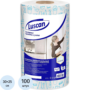 Салфетки хозяйственные Luscan спанлейс 45г/м2, 25х30см, 100л/рул