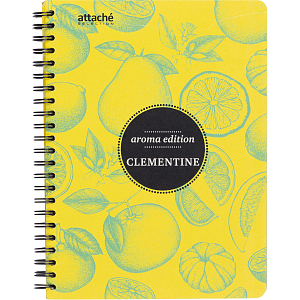 Бизнес-тетрадь  ароматизир.100л,кл,А5, КЛЕМЕНТИН,спир,тонир.блок 84906