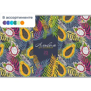 Альбом для рисования 20л А4 обл.картон,в асс.С0218