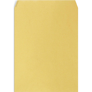 Пакет крафт E4 стрип Multipack 300х400 100г 500шт/уп/5861